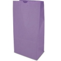 RETAIL PACKAGING TAKE AWAY KRAFT PAPER SOS BAG 