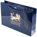 GLOSS LAMINATED HOT STAMPING PAPER GIFT BAGS WITH HANDLES 