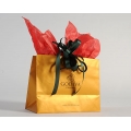 CHOCOLATE FAVOR PAPER GIFT BAGS WITH HANDLE 